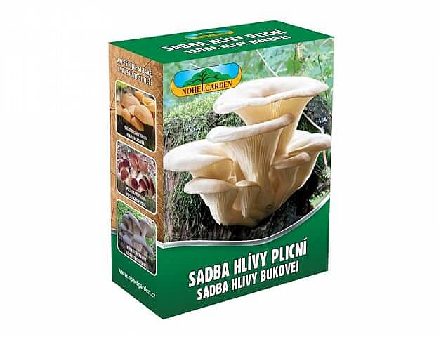 Sadba jedlé houby Pleurotus pul/hlíva plicní/bí/250ml