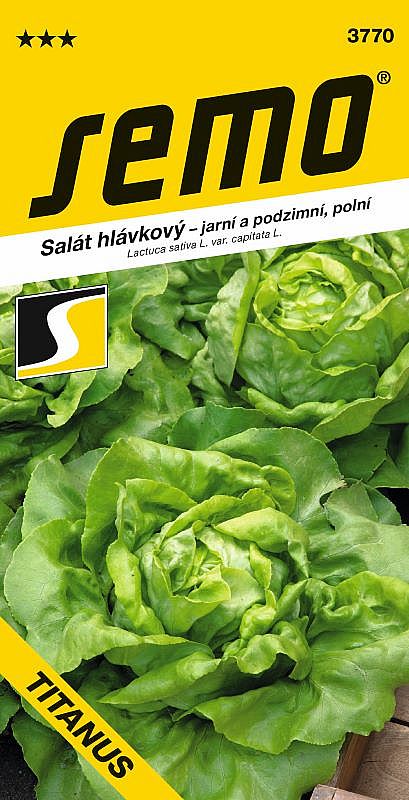 Salát hláv. jarní TITANUS jarní a podzimní světle zelená hlávka, 370g, nahrazuje DEON a FARAON