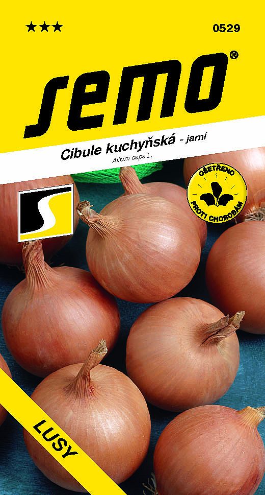 Cibule kuchyňská LUSY žlutá jarní