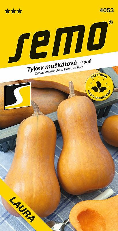 Tykev muškátová LAURA typ BUTTERNUT, máslově ořechová chuť, pro konzervaci i vaření, 1-1,5kg