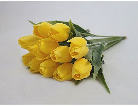 Tulip A5 Light Yellow A 147