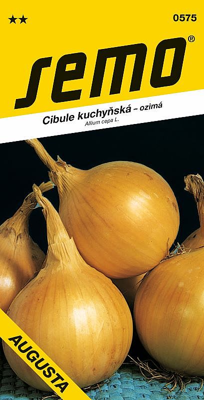 Cibule kuchyňská AUGUSTA žlutá ozimá