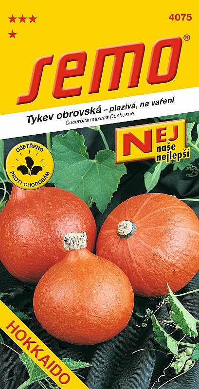 Tykev HOKKAIDO ORANGE  na vaření, oranžová, plazivá 1-1,5kg