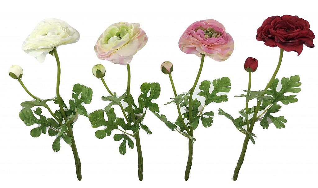 Ranunculus x2 50cm mix barev 2030111595