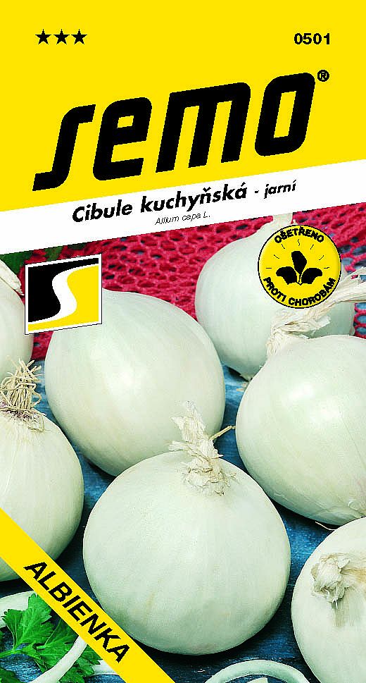 Cibule kuchyňská ALBIENKA bílá jarní