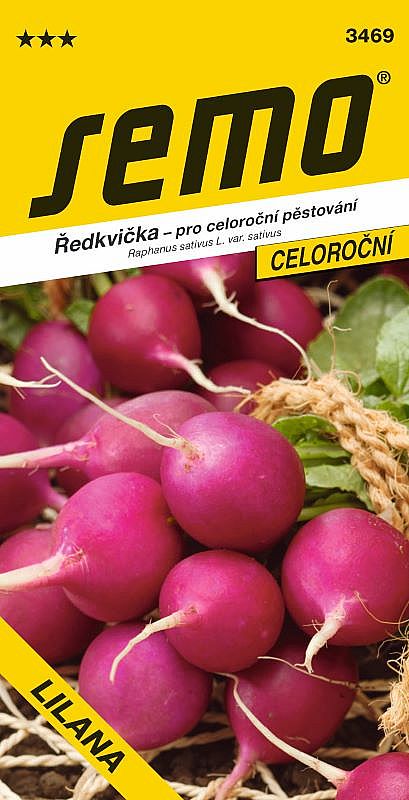 Ředkvička LILANA celoroční, rychlení i pole, fialová, kulatá