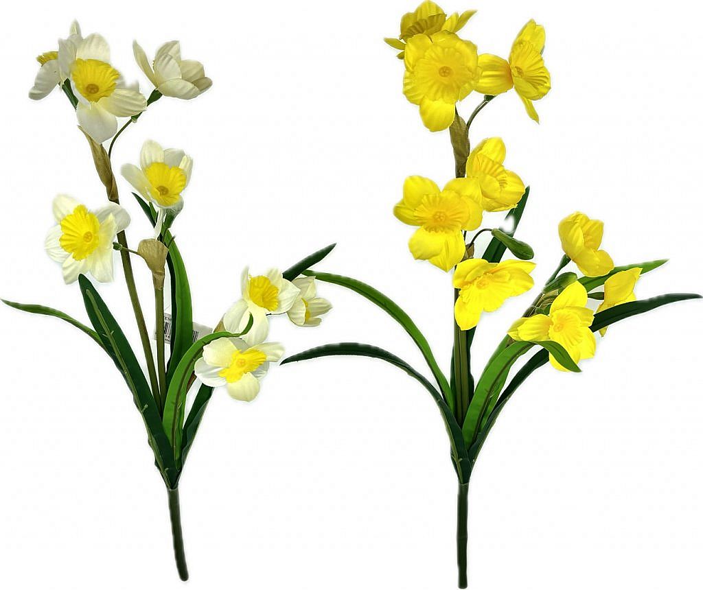 Narcis x3 47cm mix barev BV50561