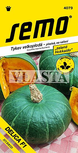 Tykev DELICA F1 typ HOKKAIDO, zelená, plazivá, na vaření, 1,5-2kg