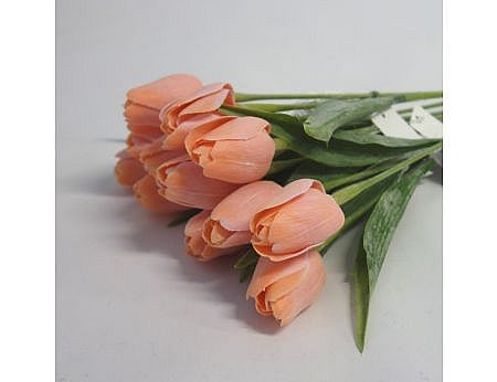 Tulip A7 Peach A75