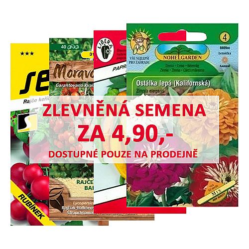 Zlevněná semena /za 7.90/