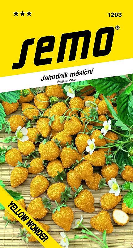 Jahodník YELLOW WONDER měsíční, žluté plody