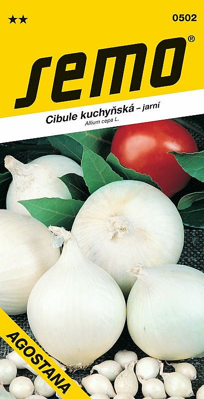 Cibule kuchyňská AGOSTANA bílá jarní