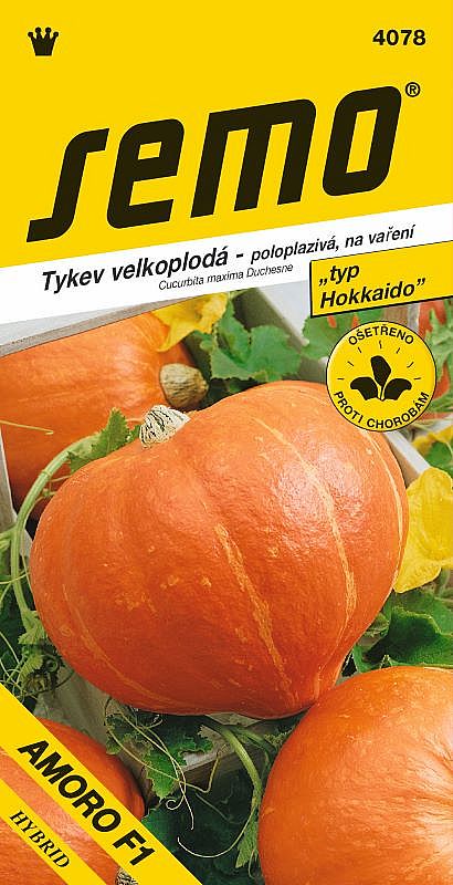 Tykev AMORO F1 typ Hokkaido, oranžová, ploše kulovitá, poloplazivá, na vaření, plod 1,5-2kg