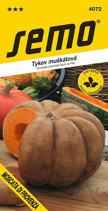 Tykev muškátová MOSCATA DI PROVENZA pro konzervaci i vaření, skladovatelná, 8-10kg