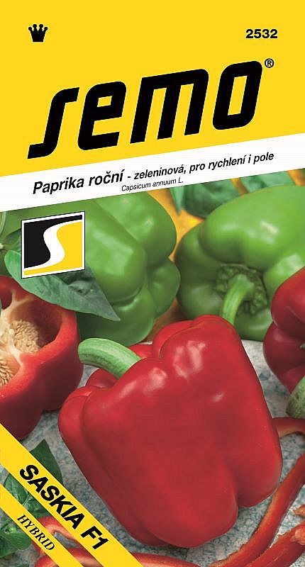 Paprika zel. SASKIA F1 pro rychlení i pole, světle zelený kvádr