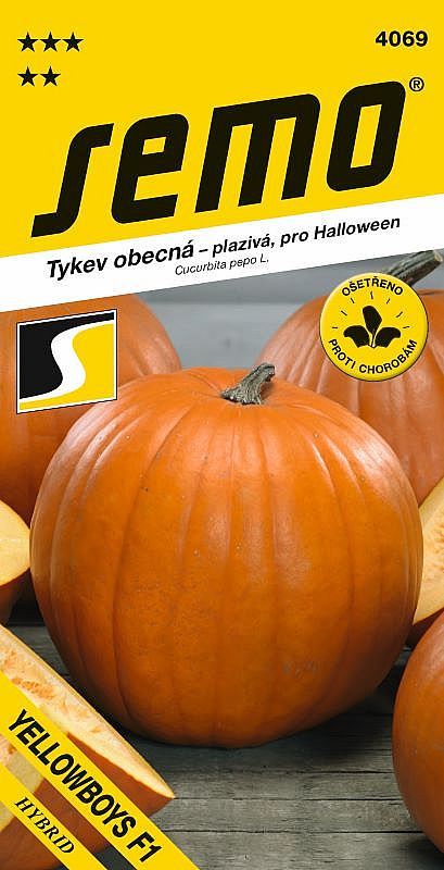 Tykev YELLOWBOYS F1 pro Halloween i vaření, 6-8kg