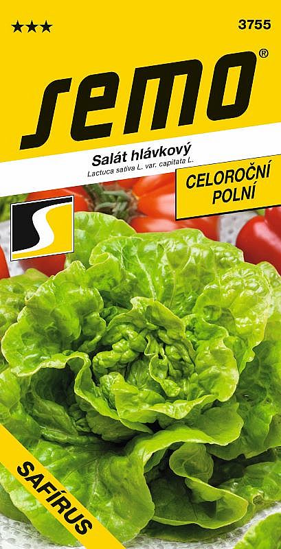 Salát hlávkový k rychlení SAFÍRUS celoroční, rychlení i pole, jasně zelená hlávka, 300g, nahrazuje SAFÍR a MAJOR