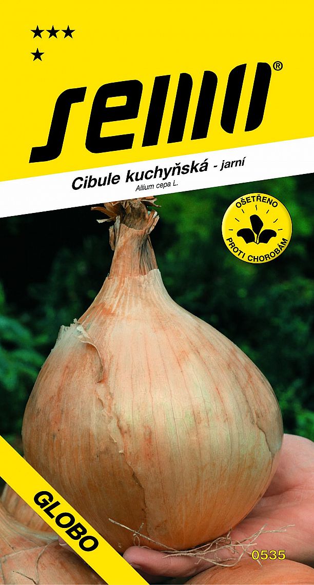 Cibule kuchyňská GLOBO žlutá jarní kulatá obří jarní salátová