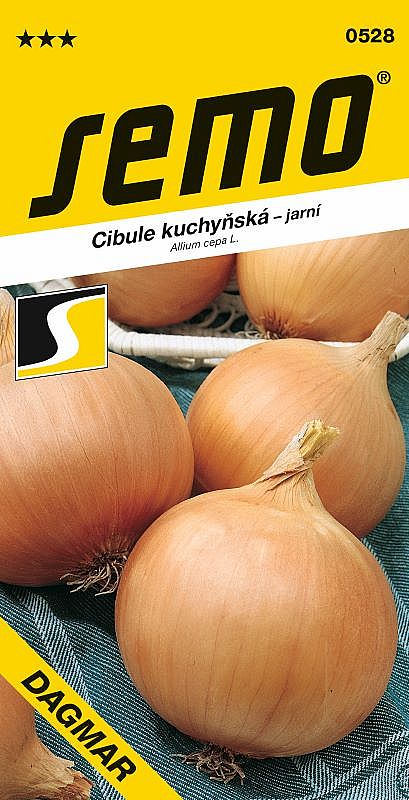 Cibule kuchyňská DAGMAR žlutá jarní