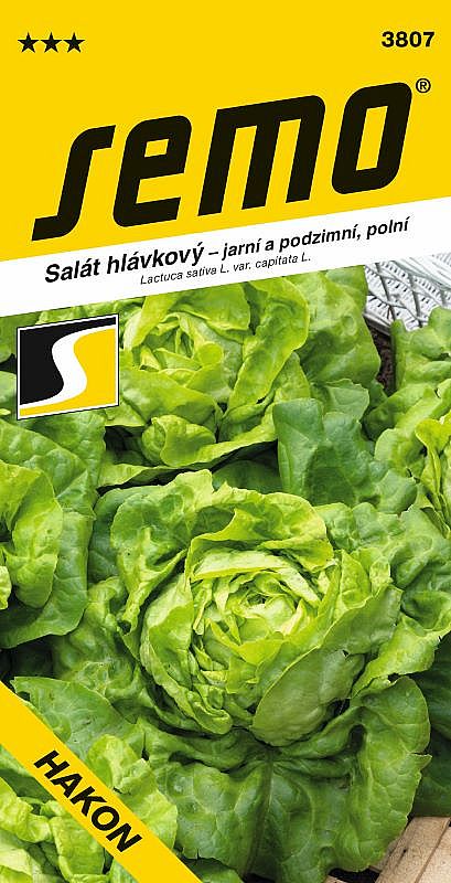 Salát hláv. jarní HAKON polní, jarní a podzimní, velká hlávka