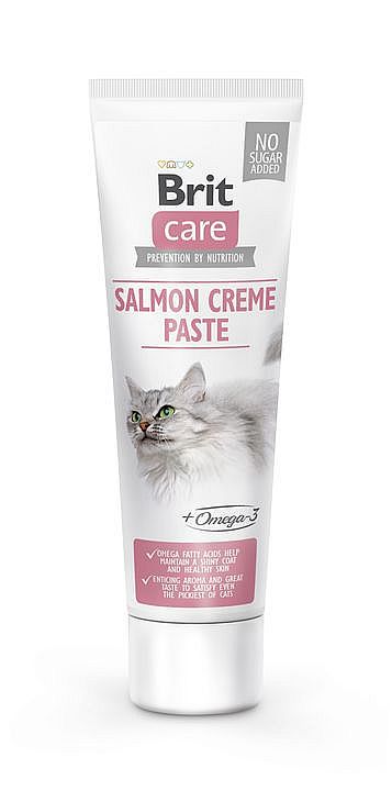 Brit Paste 100g Salmon Creme