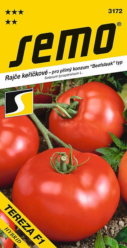 Rajče keř. TEREZA F1  přímý konzum, velké plody, polorané