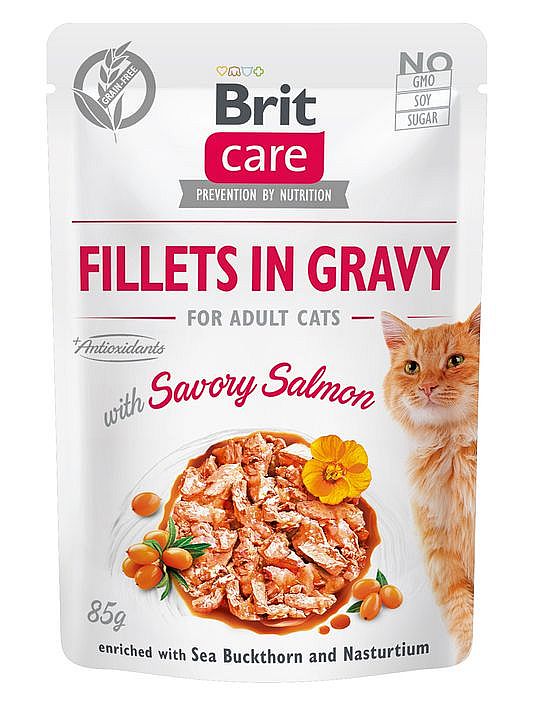 Kapsa Brit Care Cat Fillets in Gravy 85g with Savory Salmon (CZ)