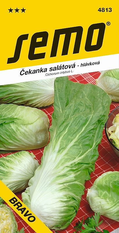 Čekanka sal. BRAVO Pan di zucchero hlávková zelená poloraná