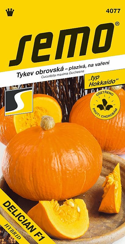 Tykev DELICIAN F1 typ HOKKAIDO, oranžová, plazivá, na vaření, 1,5-2kg