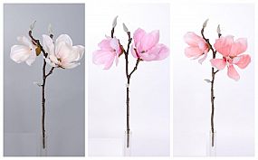 Magnolia x3 53cm mix barev PXE02049PT