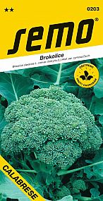 Brokolice CALABRESE postupná sklizeň