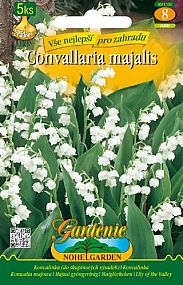 Ci/Convallaria/konvalinka/5ks bílá