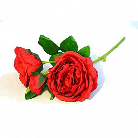 Ro/Růže 2 květy 32cm 28226