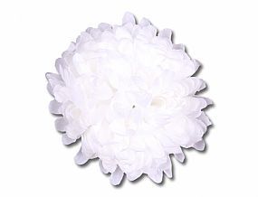 Chryzantema květ 13cm bílá