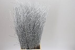 Rk/Berk Birch Silver 60cm