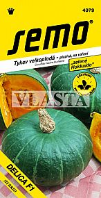 Tykev DELICA F1 typ HOKKAIDO, zelená, plazivá, na vaření, 1,5-2kg