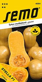 Tykev muškátová STELLA F1 typ BUTTERNUT, máslová, pro konzervaci i vaření, 1,2-1,7kg