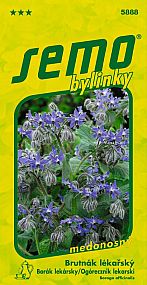 Brutnák lékařský Borago officinalis  blankytně modré květy