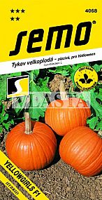 Tykev YELLOWGIRLS F1 pro Halloween i vaření, 4-6kg