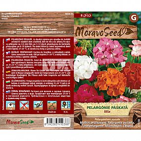 Pelargonie páskatá MIX