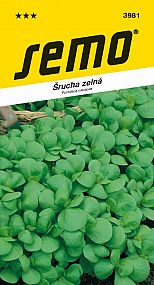 Šrucha zelná GREEN PURSLANE jedlá