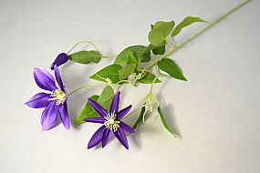 Ro/Clematis 68cm 24153